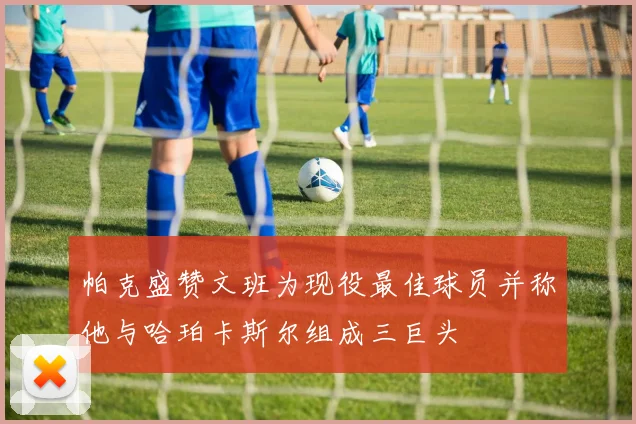 帕克盛赞文班为现役最佳球员并称他与哈珀卡斯尔组成三巨头